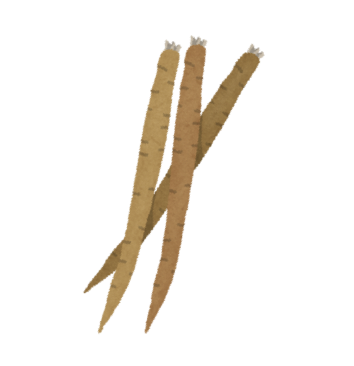 ごぼう