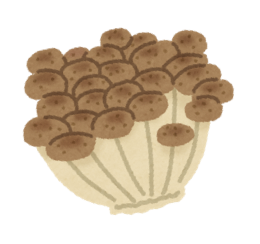 しめじ
